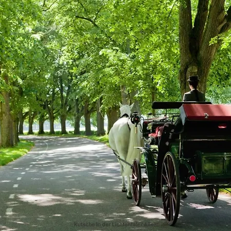 Luxus Am Fremersberg - Zentral - Mit Sauna & Badewanne