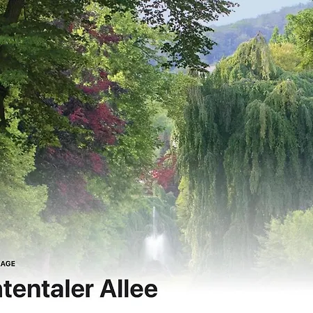 Luxus Apartment Am Fremersberg - Zentral - Mit Klima, Badewanne & Sauna Lägenhet