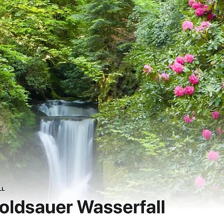 Luxus Am Fremersberg - Zentral - Mit Sauna & Badewanne *